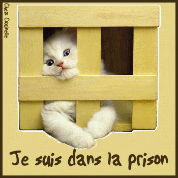 bonjour a vous tous