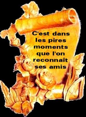 amis